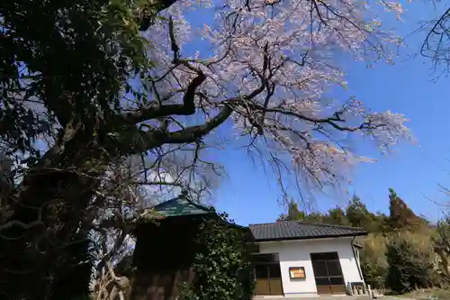 大日堂の景色