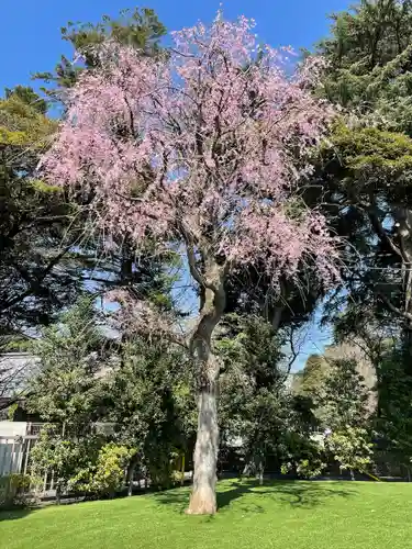 金乘院(千葉県)