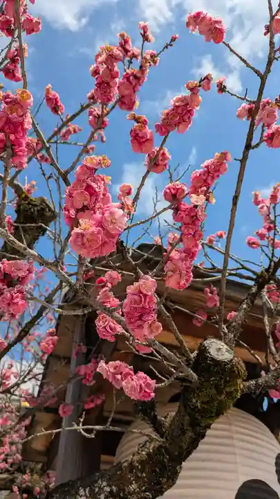 北野天満宮(京都府)