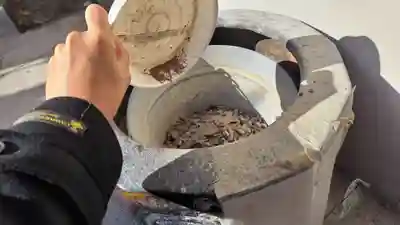 法雲寺(京都府)