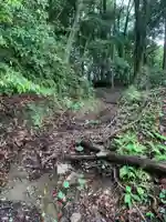 琴平神社(千葉県)