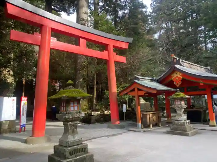 九頭龍神社新宮(神奈川県)
