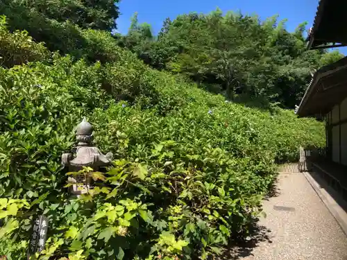 観音寺のその他建物