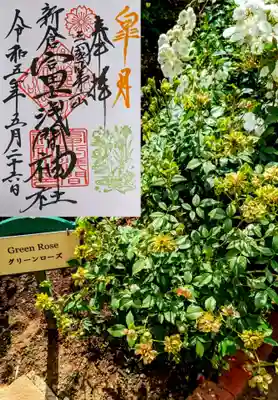 月替り御朱印 5月

こちらの背景は「グリーンローズ」よく見ないと葉なのか花なのか区別がつかない😅