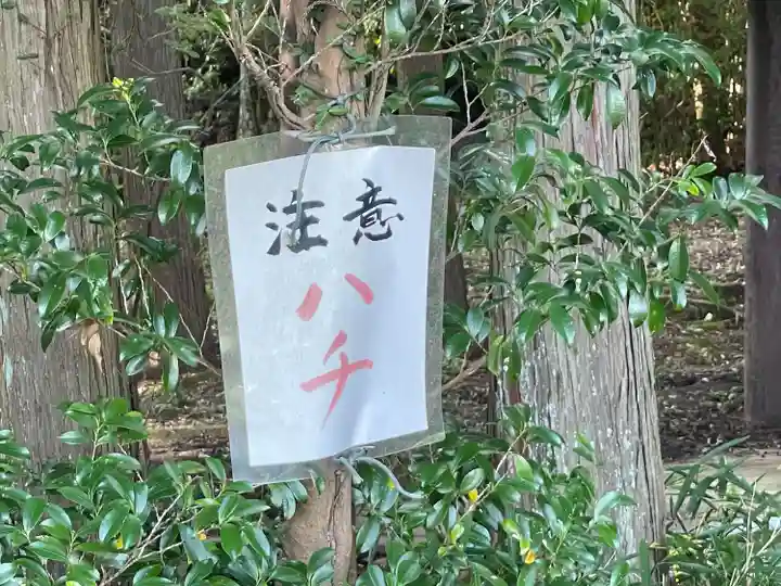 彌牟居神社(三重県)