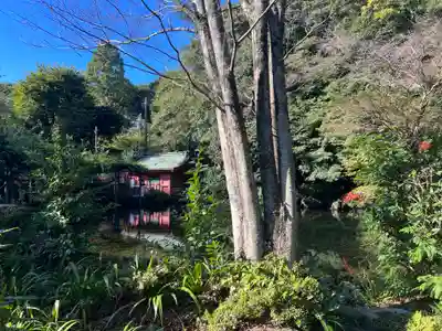 富士山本宮浅間大社(静岡県)