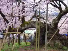 実相寺の自然