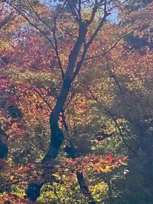 即宗院(京都府)