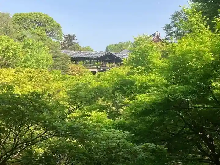 東福禅寺(東福寺)(京都府)