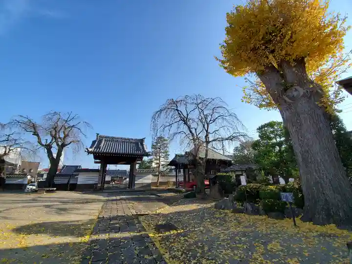 長松院のその他建物