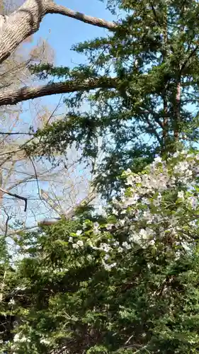 相馬神社(北海道)