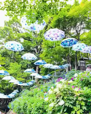 柳谷観音　楊谷寺(京都府)