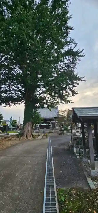 円光院の{uncategorized: "未分類", other: "その他", undefined: "問題あり", building: "その他建物", grave: "お墓", sacred_gate: "鳥居", guardian: "狛犬", statue: "像", buddha: "仏像", history: "歴史", nature: "自然", garden: "庭園", animal: "動物", pagoda: "塔", temizu: "手水舎", mountain_gate: "山門・神門", sanctuary: "本殿・本堂", subordinate: "末社・摂社", art: "芸術", scenery: "景色", jizo: "地蔵", ema: "絵馬", goshuin: "御朱印", omikuji: "おみくじ", items: "授与品その他", amulet: "お守り", goshuincho: "御朱印帳", eats: "食事", festival: "お祭り", votive_dance: "神楽", shichigosan: "七五三参", wedding: "結婚式", experience: "体験その他", initially: "初詣", around: "周辺", anti_infection: "感染症対策"}
