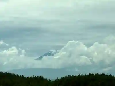 三嶋大社(静岡県)