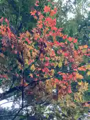 大宮温泉神社の自然