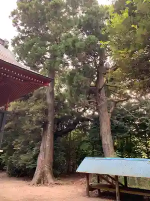 住吉神社(千葉県)