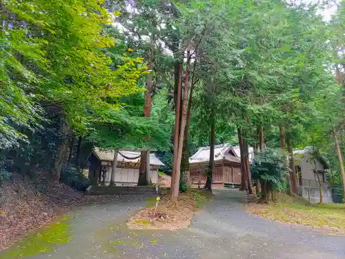 稲束神社（平尾町）の自然