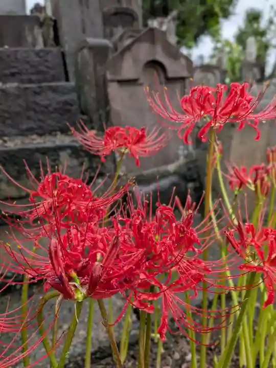 福寿院(東京都)