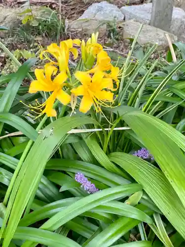 勧修寺(京都府)