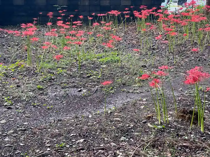 押切八幡神社の自然
