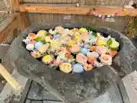 発寒神社の{uncategorized: "未分類", other: "その他", undefined: "問題あり", building: "その他建物", grave: "お墓", sacred_gate: "鳥居", guardian: "狛犬", statue: "像", buddha: "仏像", history: "歴史", nature: "自然", garden: "庭園", animal: "動物", pagoda: "塔", temizu: "手水舎", mountain_gate: "山門・神門", sanctuary: "本殿・本堂", subordinate: "末社・摂社", art: "芸術", scenery: "景色", jizo: "地蔵", ema: "絵馬", goshuin: "御朱印", omikuji: "おみくじ", items: "授与品その他", amulet: "お守り", goshuincho: "御朱印帳", eats: "食事", festival: "お祭り", votive_dance: "神楽", shichigosan: "七五三参", wedding: "結婚式", experience: "体験その他", initially: "初詣", around: "周辺", anti_infection: "感染症対策"}