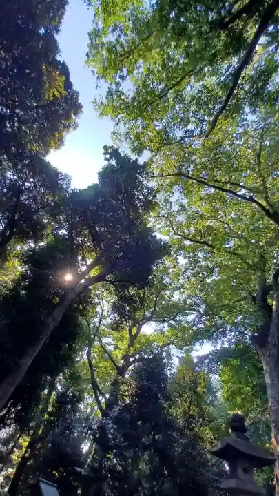代々木八幡宮(東京都)
