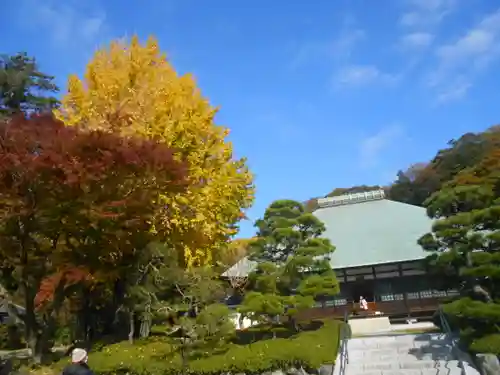 浄妙寺の景色