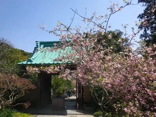 光則寺の山門・神門