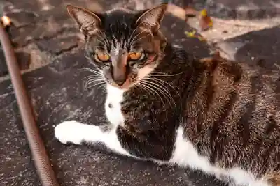 富貴寺(大分県)