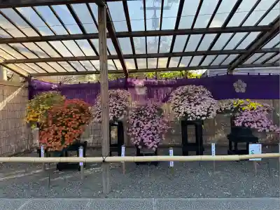亀戸天神社(東京都)