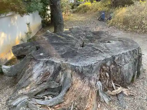 法雲院(京都府)