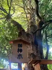 園生神社の自然