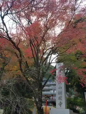 満願寺のその他建物