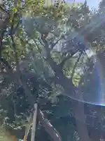 喜多見氷川神社(東京都)