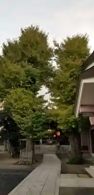 青砥神社のその他建物