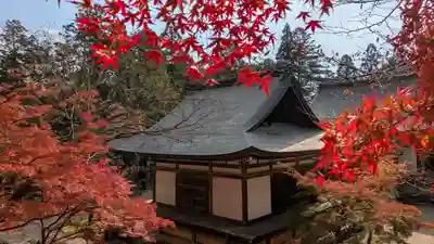 神護寺(京都府)