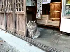 和智埜神社(長野県)