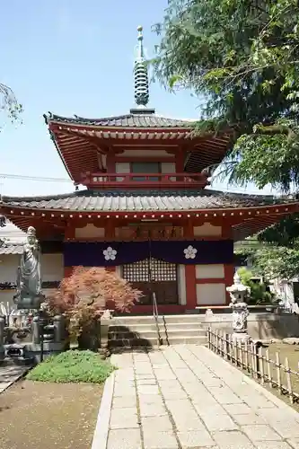 新井薬師（梅照院）(東京都)