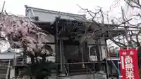 本性寺の本殿・本堂