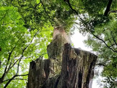 天神社(奈良県)