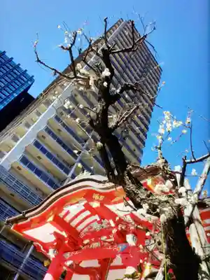成子天神社(東京都)
