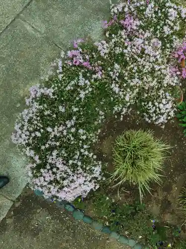 神道大教大和八幡神社(千葉県)