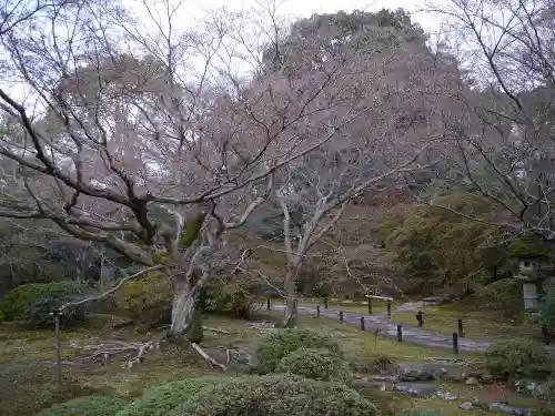 青蓮院門跡の庭園