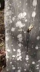 愛宕神社(福島県)