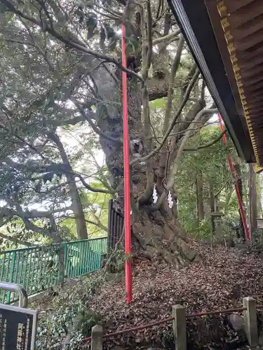 阿蘇神社(東京都)