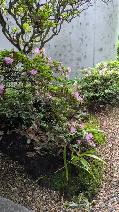 尊陽院(京都府)