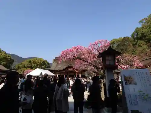 太宰府天満宮の建物その他