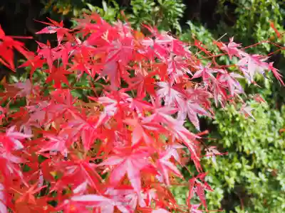 円成寺の{uncategorized: "未分類", other: "その他", undefined: "問題あり", building: "その他建物", grave: "お墓", sacred_gate: "鳥居", guardian: "狛犬", statue: "像", buddha: "仏像", history: "歴史", nature: "自然", garden: "庭園", animal: "動物", pagoda: "塔", temizu: "手水舎", mountain_gate: "山門・神門", sanctuary: "本殿・本堂", subordinate: "末社・摂社", art: "芸術", scenery: "景色", jizo: "地蔵", ema: "絵馬", goshuin: "御朱印", omikuji: "おみくじ", items: "授与品その他", amulet: "お守り", goshuincho: "御朱印帳", eats: "食事", festival: "お祭り", votive_dance: "神楽", shichigosan: "七五三参", wedding: "結婚式", experience: "体験その他", initially: "初詣", around: "周辺", anti_infection: "感染症対策"}