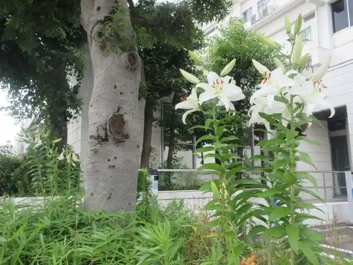 戸部杉山神社(神奈川県)