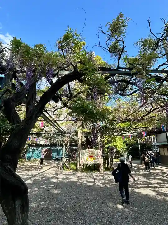 國領神社(東京都)